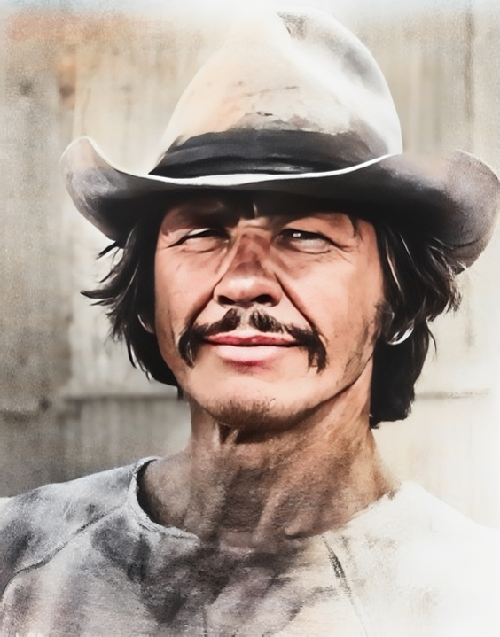 “From Coal Mines to Hollywood: The Rugged Journey of Charles Bronson ...